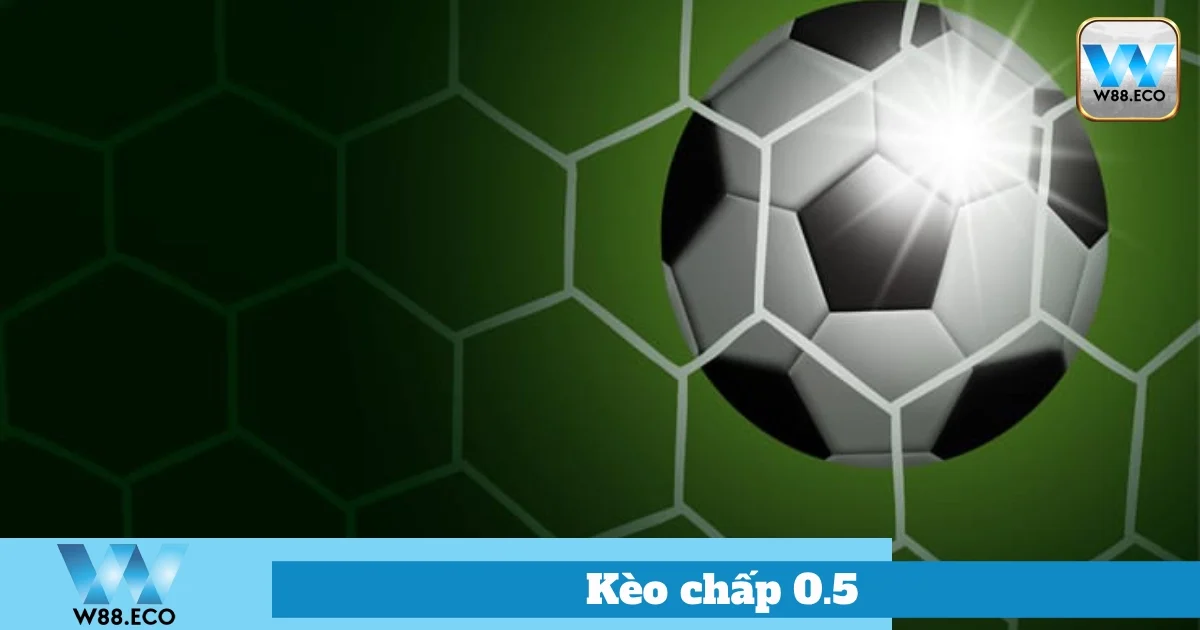 Kèo Chấp 0.5 Là Gì? Bí Quyết Đặt Cược Hay Tại Nhà Cái W88 4 Cách Đặt Kèo Chấp 0.5 Hiệu Quả Tại W88