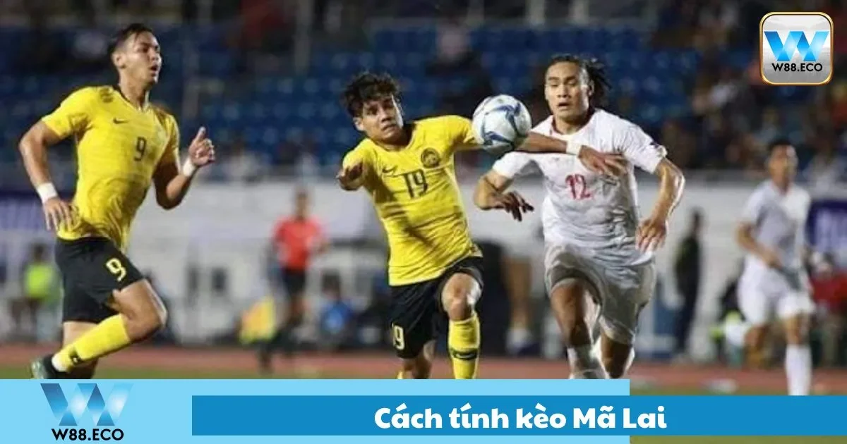 Hướng Dẫn Cách Tính Kèo Mã Lai Chuẩn Xác Nhất Tại W88 2 Phân tích tỷ lệ âm và dương